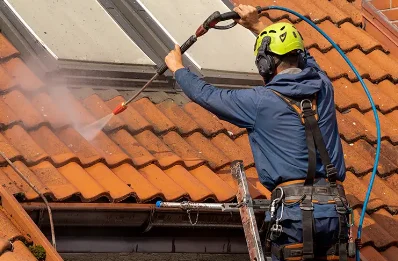 Démoussage et hydrofuge de toiture à Ligugé